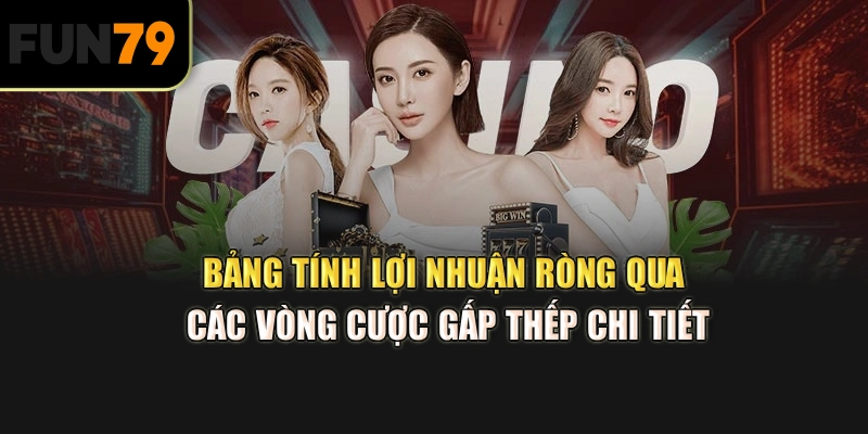 Bảng tính lợi nhuận ròng qua các vòng cược gấp thếp chi tiết