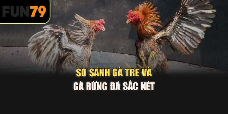 so sánh gà tre và gà rừng đá sắc nét